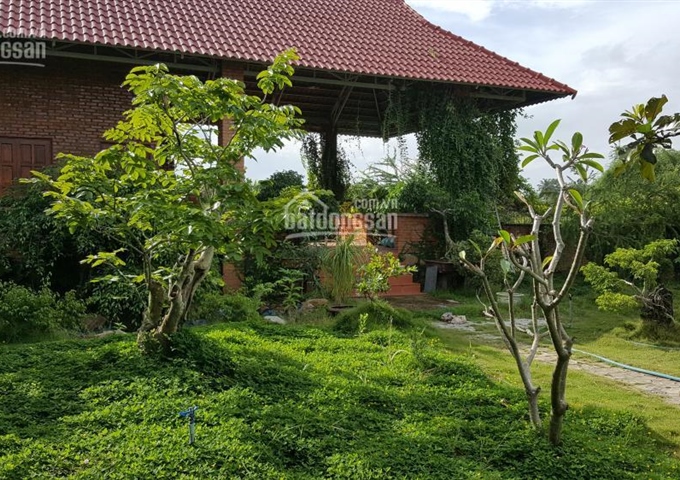 Chính chủ cần bán nhà vườn 1000m2 tại Phan Thiết - Bình Thuận