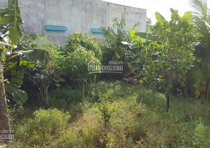 Chính chủ cần bán nhà vườn 1000m2 tại Phan Thiết - Bình Thuận