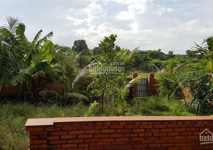 Chính chủ cần bán nhà vườn 1000m2 tại Phan Thiết - Bình Thuận