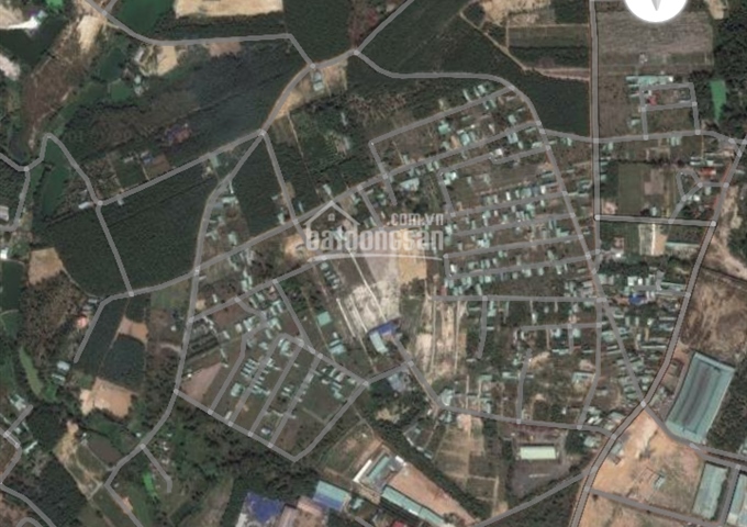 Đất Biên Hòa không thể rẻ hơn tại khu phố 7 phường Long Bình, Biên Hòa. LH: 0905596010