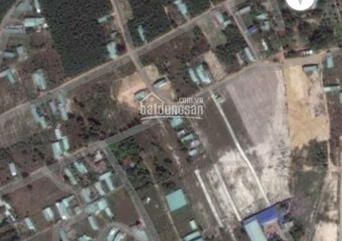 Đất Biên Hòa không thể rẻ hơn tại khu phố 7 phường Long Bình, Biên Hòa. LH: 0905596010