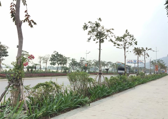 Bán đất nền xây nhà ống dự án Bim Group, Tây Hùng Thắng, Bãi Cháy, Hạ Long, Quảng Ninh