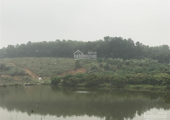 Gia đình bán gấp 3,6ha đất đồi tại huyện Lương Sơn, tỉnh Hoà Bình