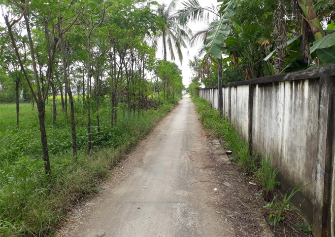 Bán hơn 5 công đất ruộng và gò Long Hưng, TX. Gò Công LH: 0934090689