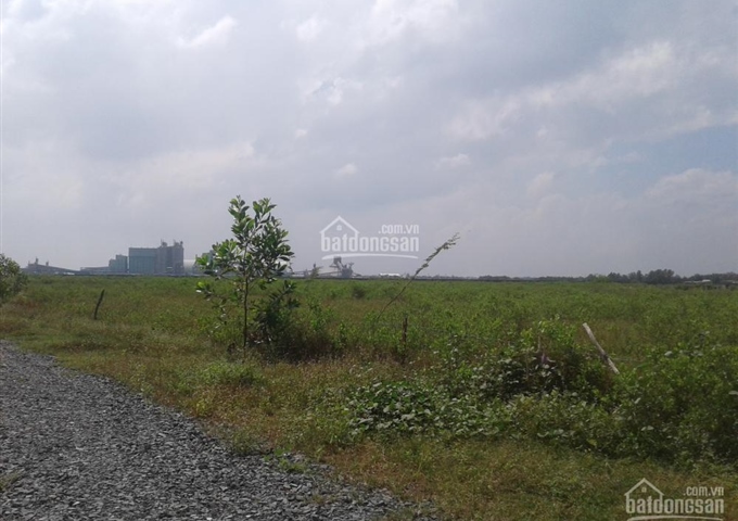 Đất khu công nghiệp Tân Tập, Cần Giuộc, Long An