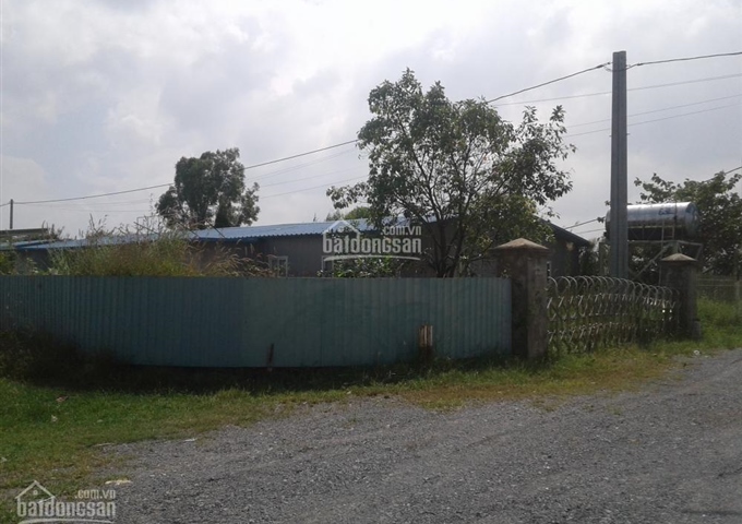 Đất khu công nghiệp Tân Tập, Cần Giuộc, Long An