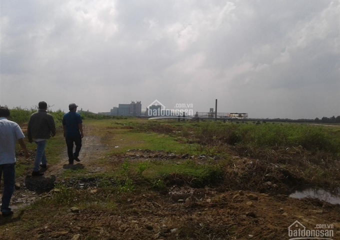 Đất khu công nghiệp Tân Tập, Cần Giuộc, Long An
