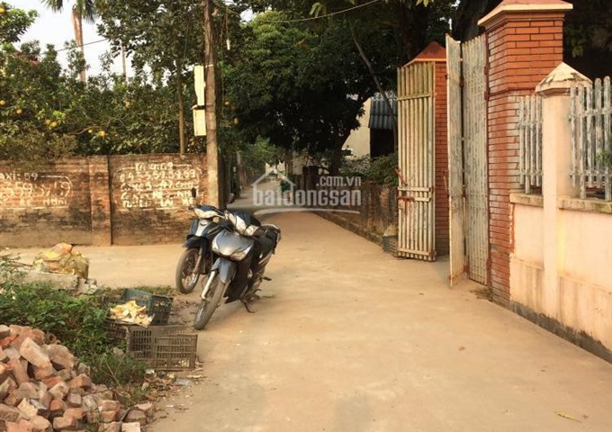 Bán mảnh đất 3 mặt tiền 5triệu/m2 thôn Tráng Việt, xã Tráng Việt, Mê Linh, Hà Nội