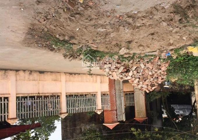 Bán mảnh đất 3 mặt tiền 5triệu/m2 thôn Tráng Việt, xã Tráng Việt, Mê Linh, Hà Nội