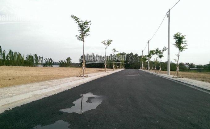 Bán đất chính chủ đường Nguyễn Xiển đối diện Vincity giá chỉ 17tr/m2, SHR. LH: 0962.357.18