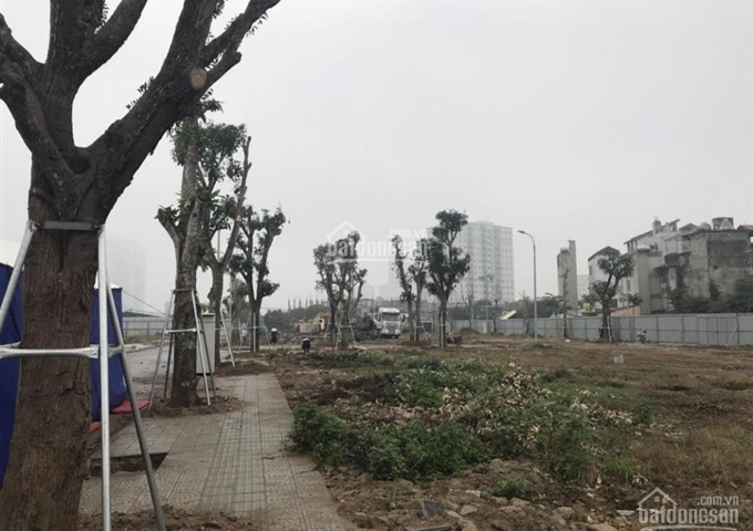 ĐỘC QUYỀN LÔ ĐẸP, GIÁ GỐC CĐT LÔ LIỀN KỀ, SHOPHOUSE ATHENA FULLAND NGUYỄN XIỂN