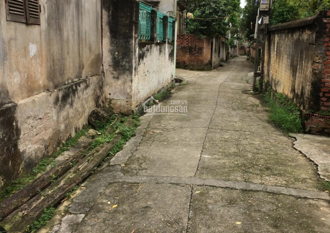 Bán mảnh đất 5.5 tr/m2 thôn Cán khê - xã Nguyên Khê - Đông Anh - Hà Nội. Sổ đỏ chính chủ