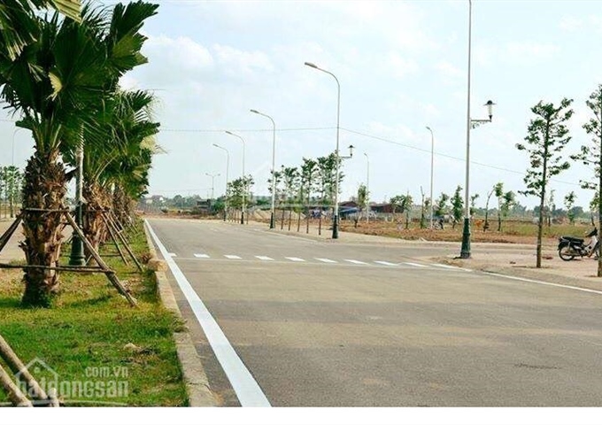 Đất nền LK Aeon Mall, Hóc Môn, ngay khu chợ đầu mối 350 tr/nền góp 10-12 tháng, LS 0%, sổ riêng