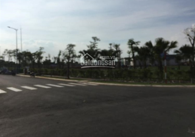 Đất nền LK Aeon Mall, Hóc Môn, ngay khu chợ đầu mối 350 tr/nền góp 10-12 tháng, LS 0%, sổ riêng