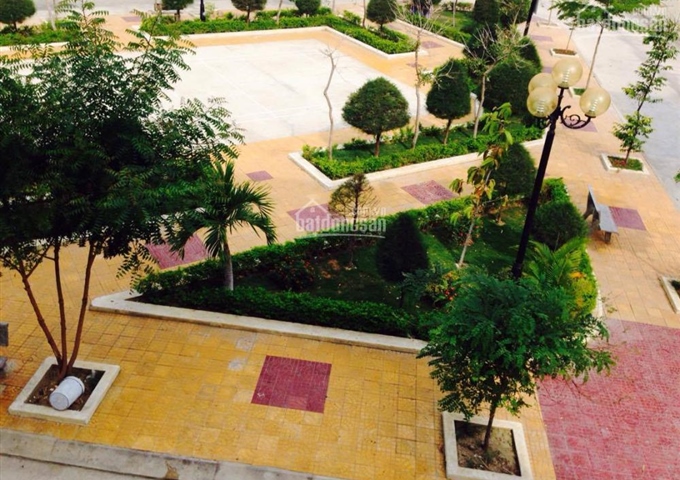 Cho thuê chung cư C2 Nguyễn Văn Trỗi, phường Thanh Sơn, Phan Rang, Ninh Thuận