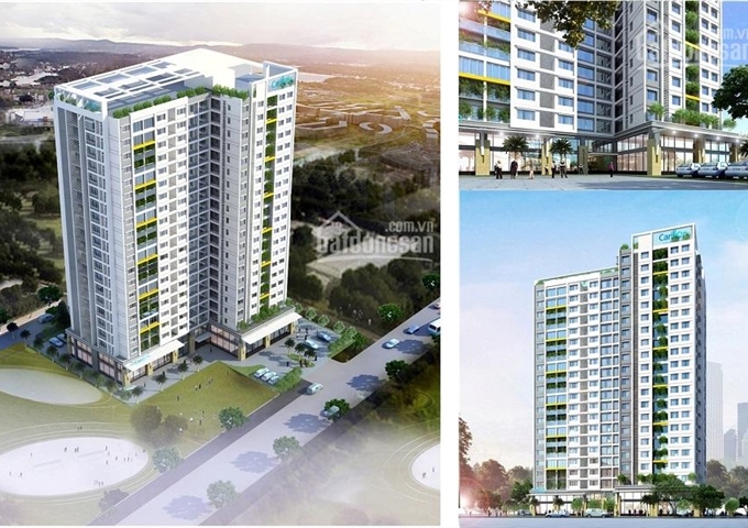 Bán căn hộ tầng 7, 2 phòng ngủ, 2 WC