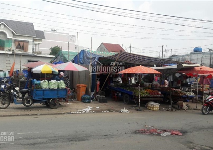 Bán đất đường Tây Lân, quận Bình Tân, mặt tiền đường Tây Lân chợ Mỹ Nga, quận Bình Tân