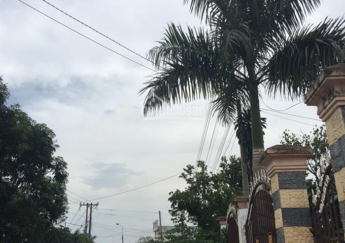 Bán đất giá rẻ chỉ 250tr, gần trường THCS Thạnh Phú, Vĩnh Cửu, Đồng Nai