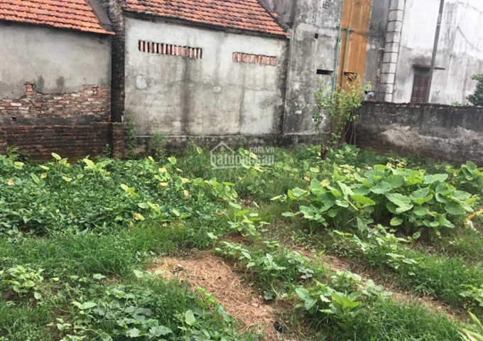 CHÍNH CHỦ BÁN ĐẤT tại TRẠI GẦN SONG PHƯƠNG HOÀI ĐỨC, DT 46.8M2, MT 4.5M LH . 0931.052.666