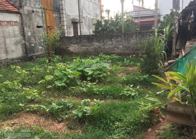 CHÍNH CHỦ BÁN ĐẤT tại TRẠI GẦN SONG PHƯƠNG HOÀI ĐỨC, DT 46.8M2, MT 4.5M LH . 0931.052.666