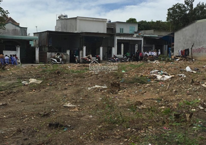 Bán đất ngay trường THPT Thái Hòa vị trí đẹp nhiều tiện ích