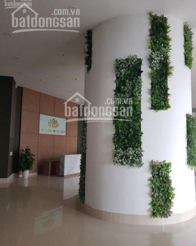 Ban quản lý chung cư Lạc Hồng Westlake, cho thuê căn hộ 2PN giá rẻ, giá 5tr/th, ĐT: 0966278852