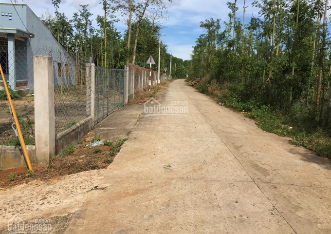BÁN ĐẤT Thị trấn Kim Long 15x43m hẻm betong 4m Giá bán 35tr/m ngang