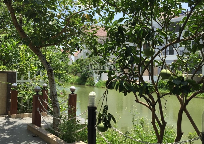 Bán BT đơn lập căn số 25A - đường Hoa Sữa 8 Vinhomes Riverside - DT 271m2 - 31,5tỷ - LH 0941598888