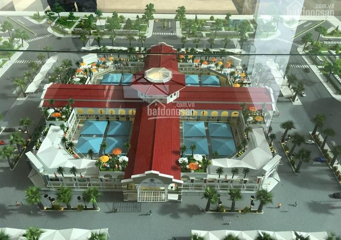 Cần sang kiốt/sạp vựa chợ Long Hoa (Thánh địa Cao Đài), kiốt 300 triệu, sạp 40 triệu, góp 10-20 năm