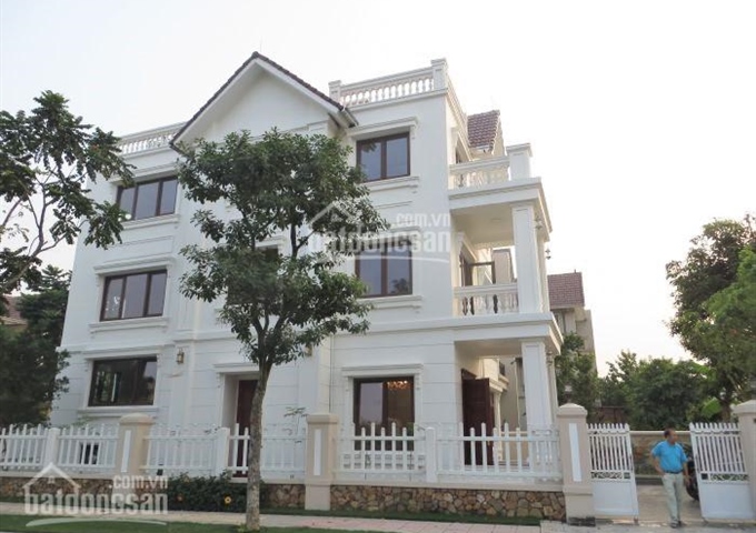 BÁN BT ĐƠN LẬP CĂN SỐ 25A, ĐƯỜNG HOA SỮA 8 VINHOMES RIVERSIDE, DT 271M2, 31.5TỶ, LH 094.159.8888