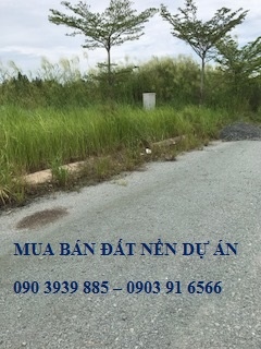 Bán đất Khu Nhà Ở Thanh Niên Đường Phạm Hùng, xã Phước Lộc, Nhà Bè 090 3939 885