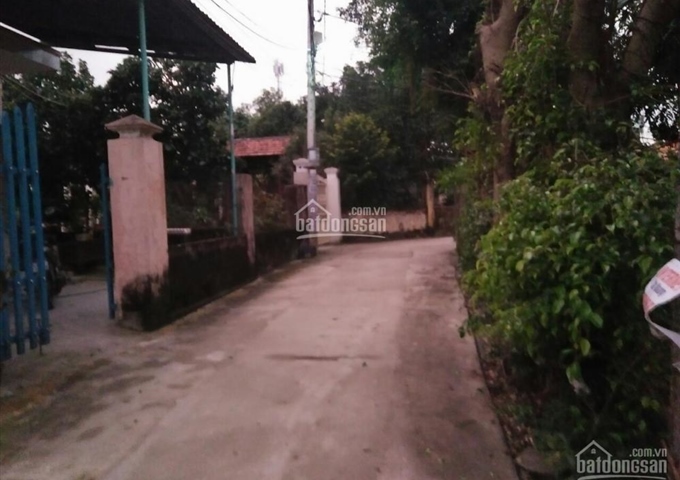 Bán dãy trọ, kiệt 242 Tô Hiệu, Liên Chiểu, Đà Nẵng