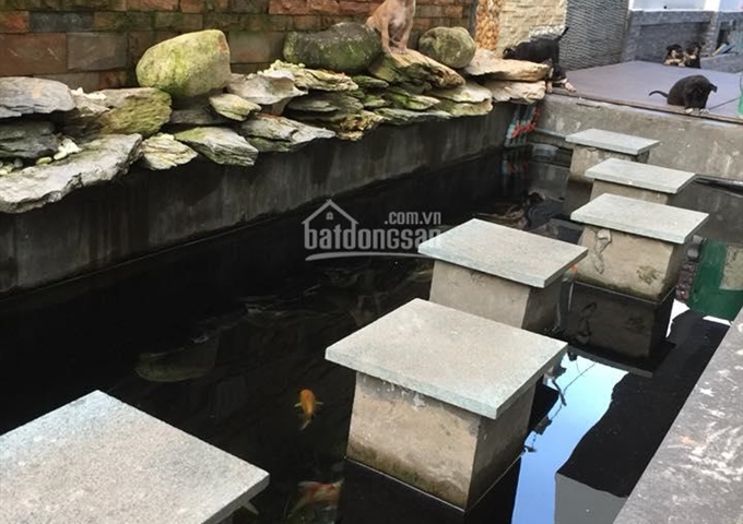 Bán gấp biệt thự Đặng Xá Gia Lâm