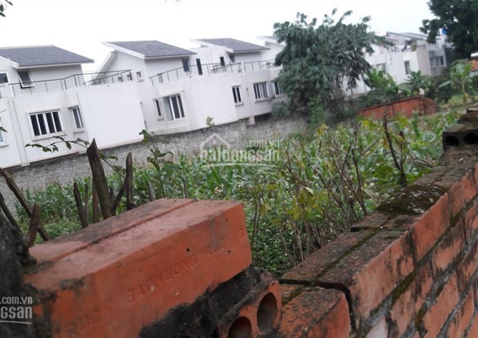 Bán đất tại Xóm Nhòn - Xã Tiến Xuân - huyện Thạch Thất - Hà Nội