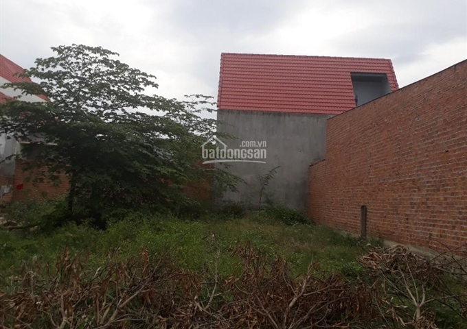 Bán gấp lô đất tái định cư khu đô thị Nam Sông Cái, thích hợp xây biệt thự