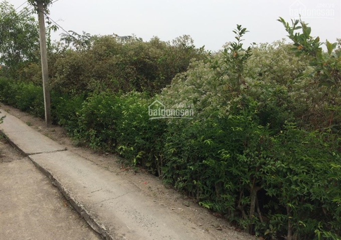 Đất nông nghiệp xã Tân Tập, huyện Cần Giuộc. DT 1050m2 (400m2 lên gò) giá 460 triệu