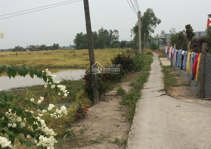 Đất nông nghiệp xã Tân Tập, huyện Cần Giuộc. DT 1050m2 (400m2 lên gò) giá 460 triệu