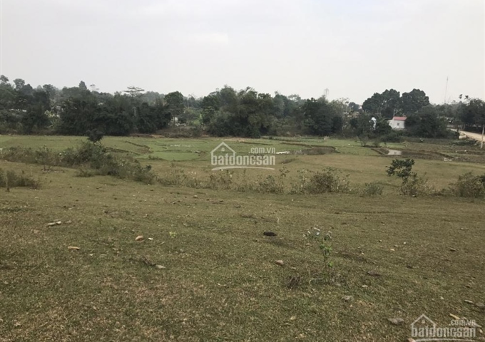 Bán rẻ lô đất 7000m2 tại Cư Yên Lương Sơn Hòa Bình với giá 2 tỷ