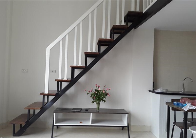 Cho thuê căn hộ mini sang trọng gần đường Nguyễn Văn Lộc. LH Chị Nga: 0903245338