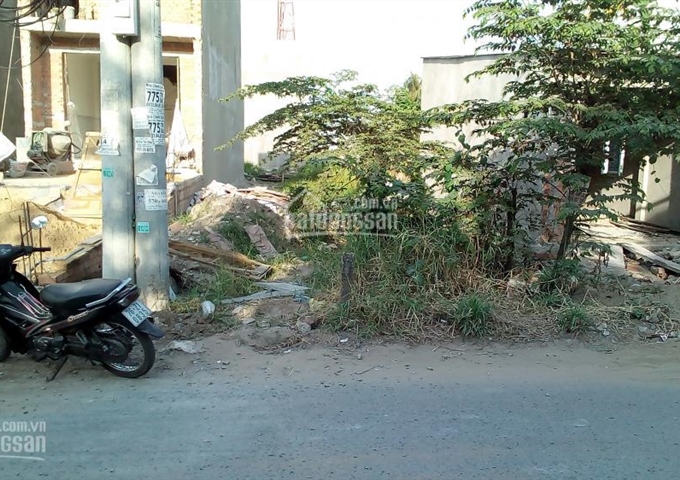 Bán đất mặt tiền Đường Vườn Lài nối dài, gần ngã tư chợ Vườn Lài QL1A, gần chung cư Thạnh Lộc Q.12
