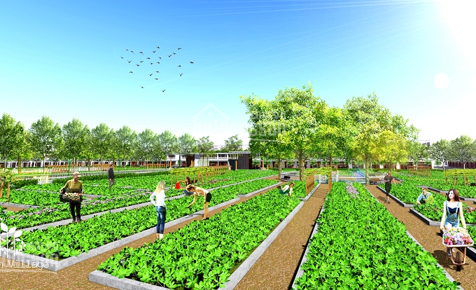 Bán đất nền Saigon Village mã nền E1, E3, E4 nền 34 - 35, E5 - 28, E5 - 29 và nền B3 có GPXD