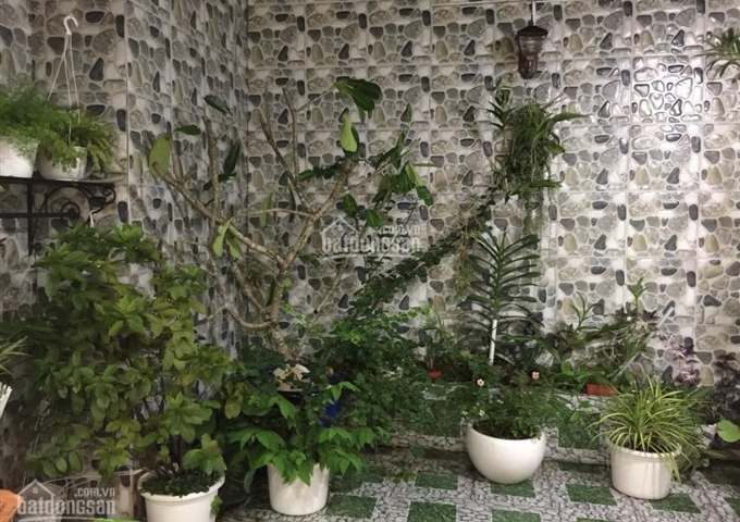 Hot cần bán lỗ Penthouse Ngọc Lan Quận 7 giá 4,4 tỷ LH: 0906800082