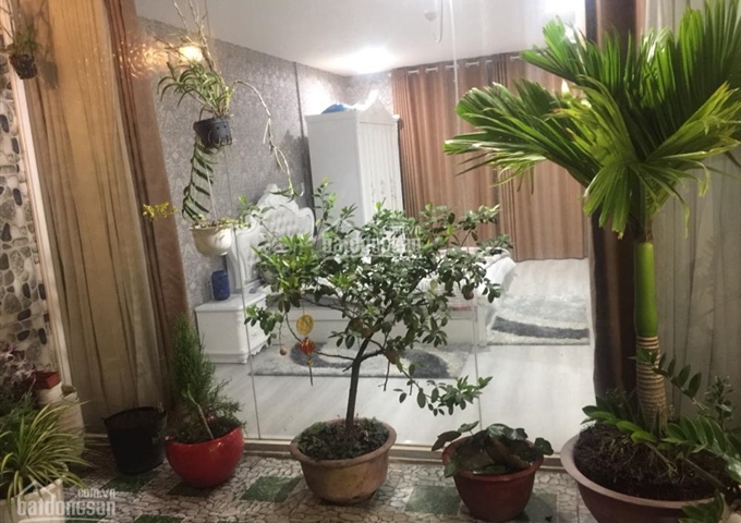 Hot cần bán lỗ Penthouse Ngọc Lan Quận 7 giá 4,4 tỷ LH: 0906800082