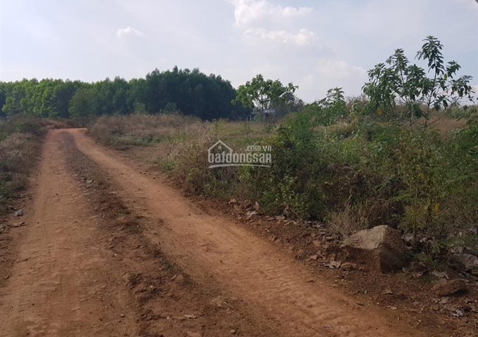 Bán đất rẫy 28.000m2 tại xã Cây Gáo, huyện Trảng Bom, Đồng Nai