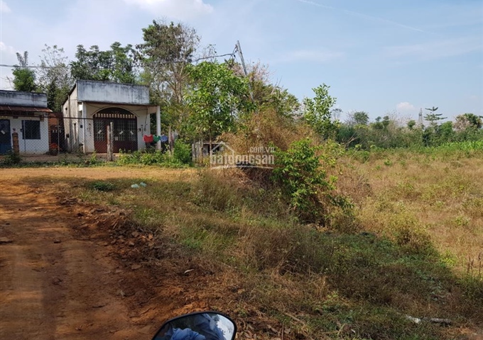 Bán đất rẫy 28.000m2 tại xã Cây Gáo, huyện Trảng Bom, Đồng Nai