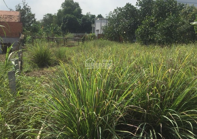 150m2 đất mặt tiền Quốc Lộ 13, khu dân cư ấp 3B Thới Hòa, Mỹ Phước 3, Bến Cát, Bình Dương