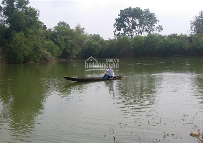 Bán trang trại ở huyện Củ Chi, 13.000m2, gồm trại bò, ao cá, vườn chăn nuôi gà. Giá 4,4 tỷ