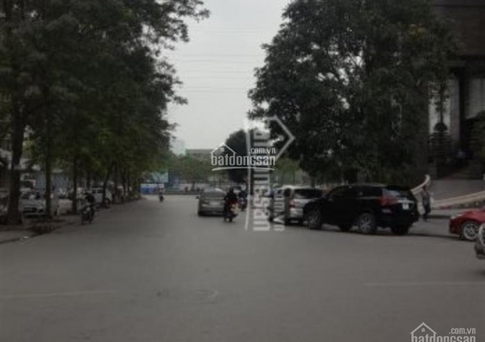 Cho thuê BT Mỹ Đình Sông Đà, BT TT4, lô góc, 3 mặt thoáng, 180m2, hướng ĐN, view vườn hoa cực đẹp