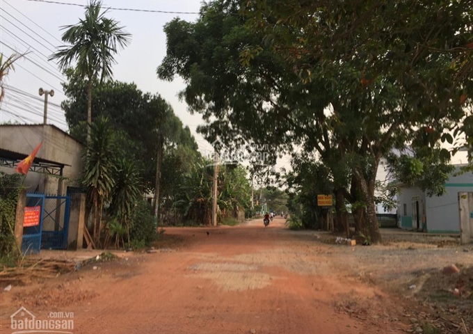 Bán đất đường DX 02 Phú Mỹ, Thủ Dầu Một, Bình Dương