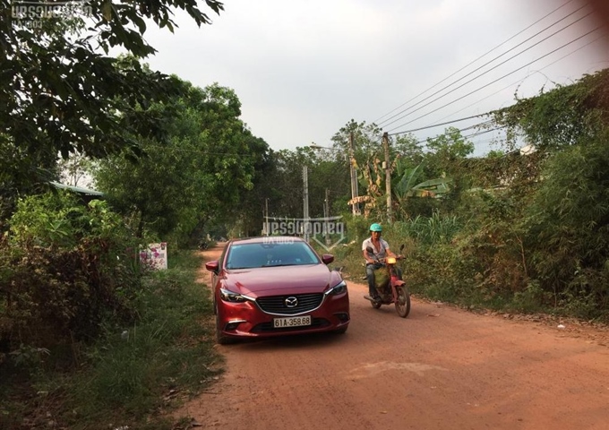 Bán đất đường DX 02 Phú Mỹ, Thủ Dầu Một, Bình Dương